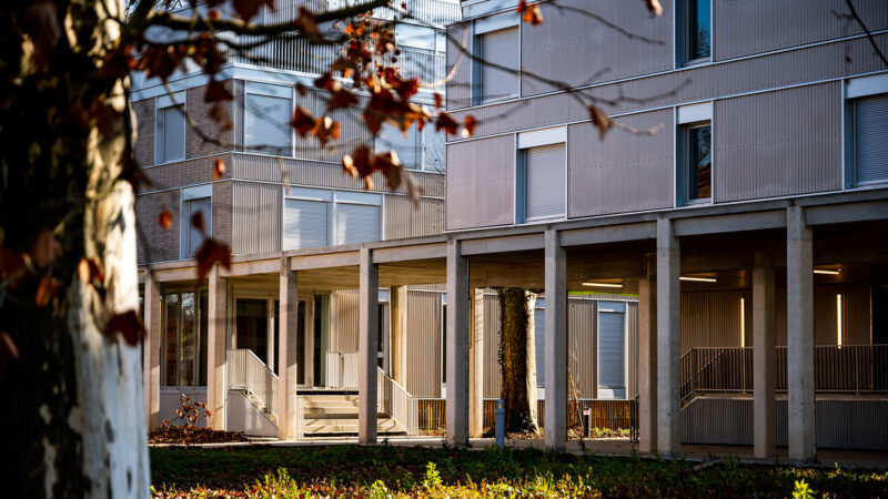 enap-sybois-2
